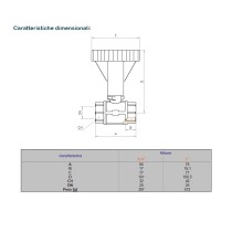 Valvola a sfera per alte temperature con termometro ROSSO e valvola di non ritorno da 1" F, temperatura 0-120 °C