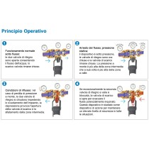 Disconnettore idraulico da 3/4" FF per zone di pressioni differenti non controllabili