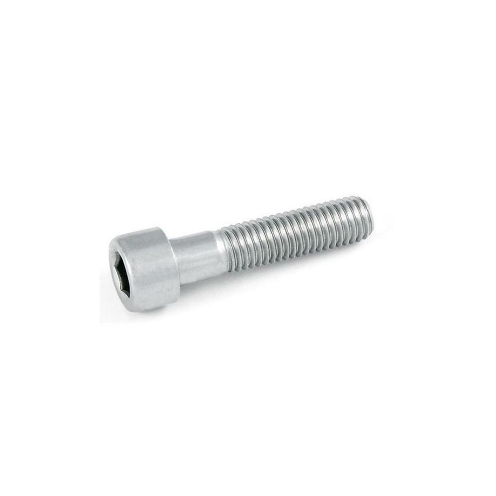 Vite in inox a testa cilindrica con cava esagonale M8 x 40 mm