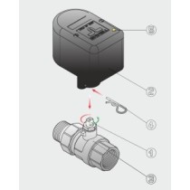 Valvola deviatrice motorizzata di zona a 2 vie 3/4" M/F, 230 Vac, 5 fili